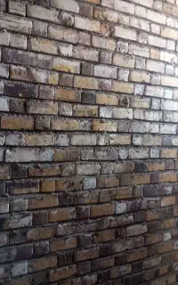 استاد