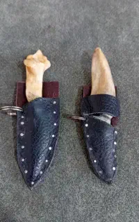 چاغو