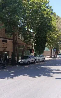 مغازه سر خیابان اصلی و آپارتمان روی آن