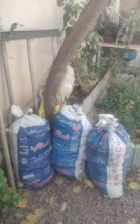 کود کفتر