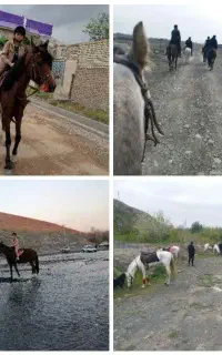 اسب سوارکاری پانسیون