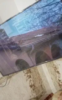 تلویزیون