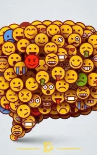 واگذاری اپلیکیشن حرفه‌ای شبکه اجتماعی