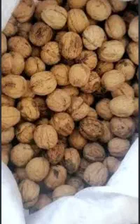 گردو پوست کاغذی . نازک. ۳۰ کیلو