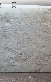کاعو چو ب ماهیگیری
