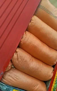 علف تبن