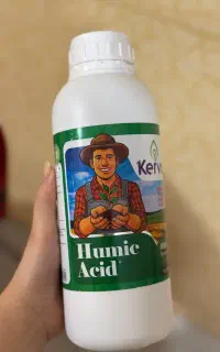 هیومیک اسید معجزه بذر مال گندم