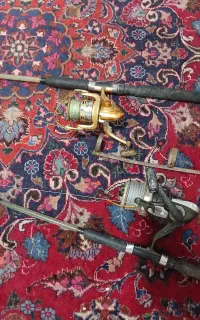 لنسر ماهیگیری