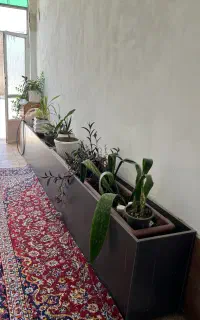 باکس گل