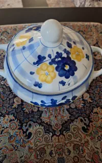 ظروف گل پنبه