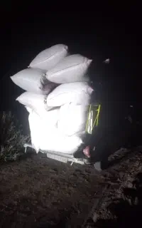 کاه