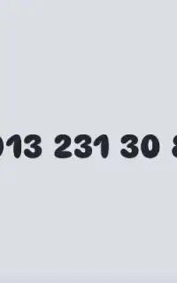 0913-231-30-84