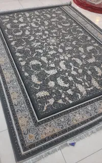 نگار طوسی