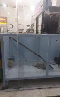 آکواریوم ماهی زنده