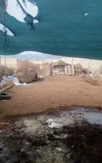 کود گوسفندی حیوانی زیر قیمت