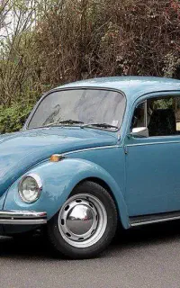 فلوکس قورباغه نیاز به بازسازی