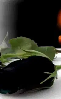 ترحیم خوانی مداحی مراسمات ختم