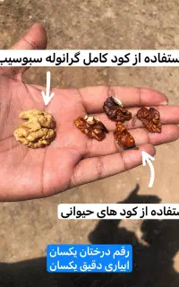 تغذیه اصولی باغات با کود ارگانیک