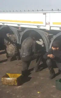 نیازمند شاگرد جهت کار در ترمزسازی