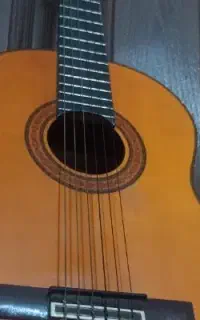Aria AK80