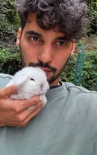 خرگوش لوپ آلمانی