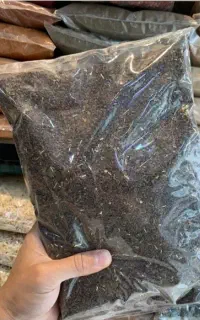 اسپند درجه یک
