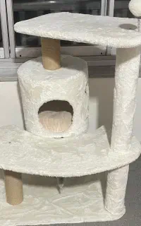 جای خواب و درخت گربه