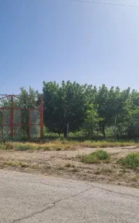 باغ میوه