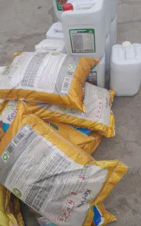 کود کامل NPKS کروا تحت لیسانس گرین استار کانادا