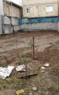 باغبان نیازمندم