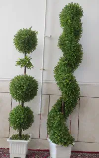 پشتی.دوعد گل مصنویی