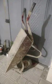 فروغون کاملا سالم