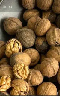 گردوکیلویی ۱۰۰۰۰۰۰تومان
