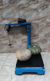 ترازو ۱۰۰کیلویی