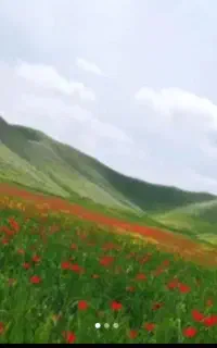 سفروگردش