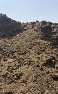 کود گوساله و گوسفندی مخلوط کهنه