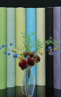 نصب حرفه ای کاغذ دیواری و دیوارپوش