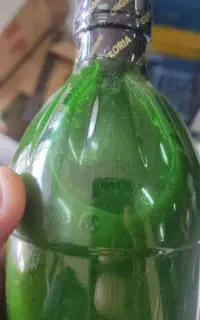 سس گلوریا سبز