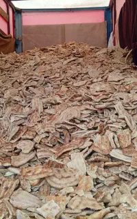 ارسال نان خشک از گنبد کاووس ب تمام ایران