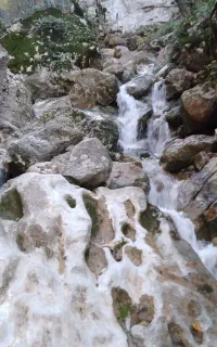 طبیعت گردی