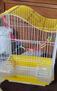 قفس پرنده و همستر