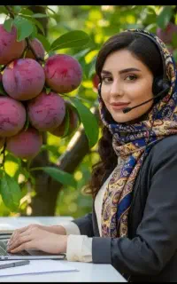 فروش نهال صنوبر بادام پسته گردو زرشک مرکبات به