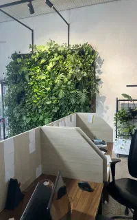 استخدام نیروی اداری
