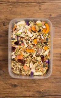 فروش تخصصی غذای طوطیسانان Biorfeed تکی و عمده