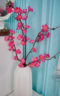 آتلیه عکاسی ساری