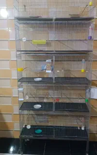 قفس پرنده