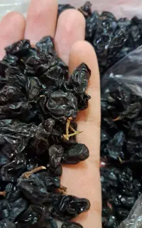 مویز
