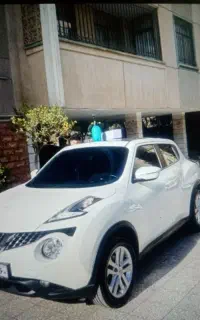 شیشه دودی تخصصی در محل