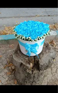 گل های جاودان