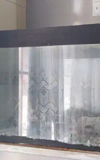 اکواریوم